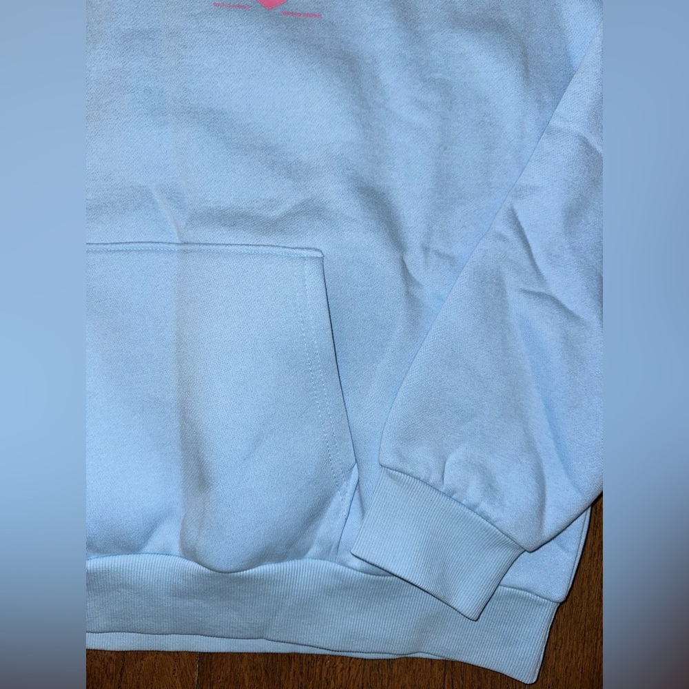 Edikted Light Blue Hoodie with Pink Heart Script Front Back - NWT Medium - Picture 2 of 5